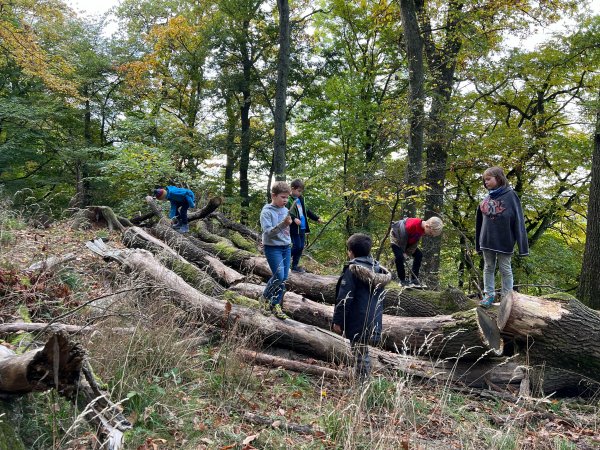 WhatsApp%20Bild%202025-10-22%20um%2007.36.45_39be9893