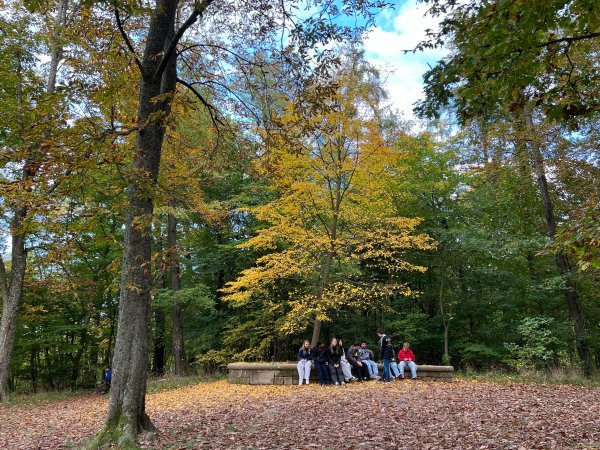 WhatsApp%20Bild%202025-10-22%20um%2007.36.45_e575c1e7